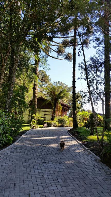 فيلا Casa Goldoni غرامادو المظهر الخارجي الصورة
